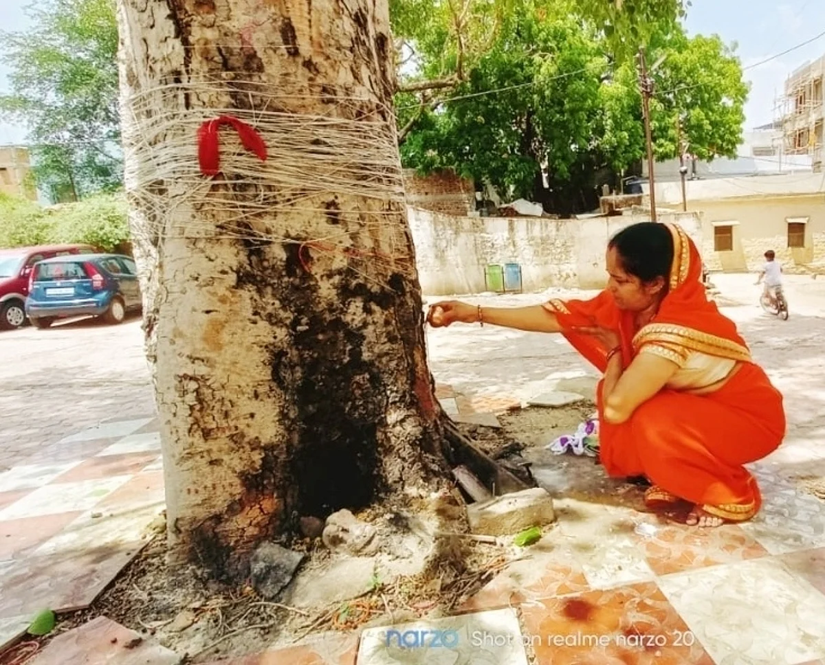 वट के समान पति की दीर्घायु के लिए विवाहिताओं ने की वट पूजा