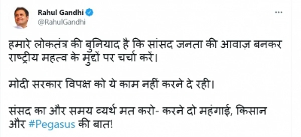 सांसदों को राष्ट्रीय महत्व के मुद्दों पर चर्चा करने की अनुमति नहीं दे रही सरकार : राहुल