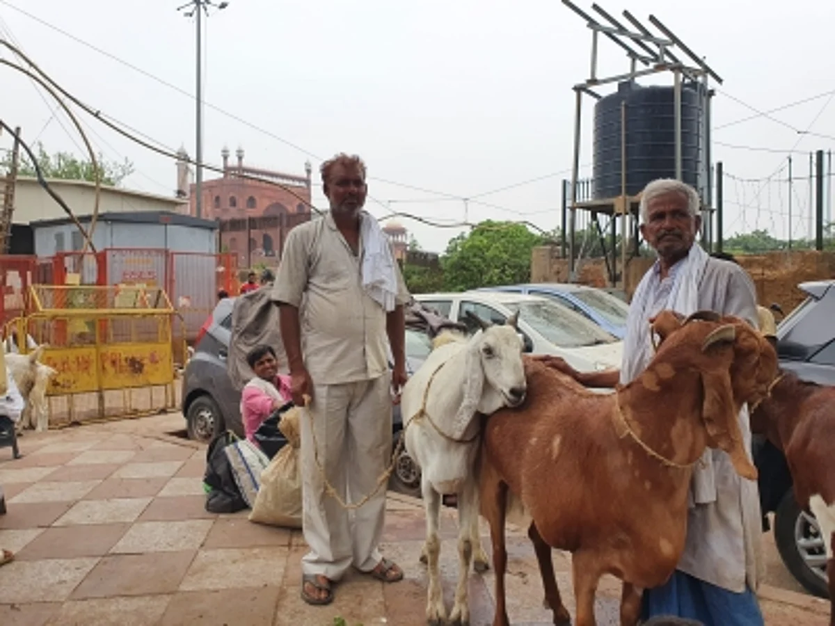 कोविड: बकरीद के चलते सड़कों पर ग्राहक ढूंढते दिखे बिक्रेता, 3 लाख रुपये का बकरा सिर्फ डेढ़ लाख में उपलब्ध