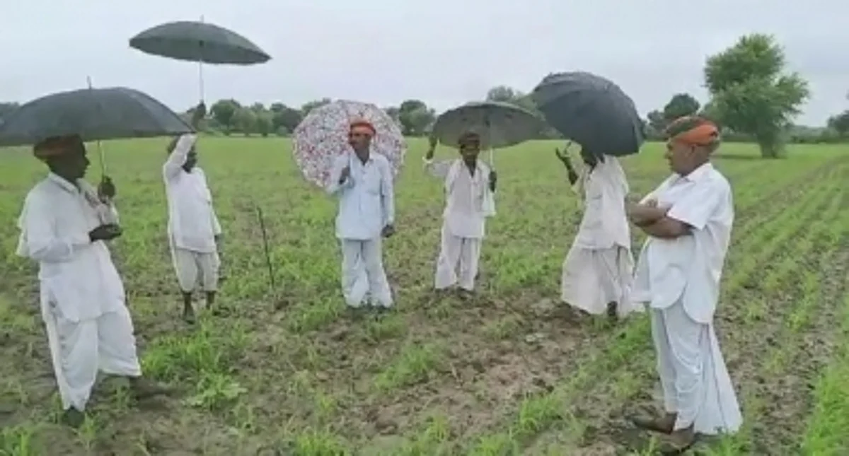 राजस्थान में किसानों के तेजाजी के गीत गाने से होती है बारिश? कैम्ब्रिज करेगा अनुसंधान