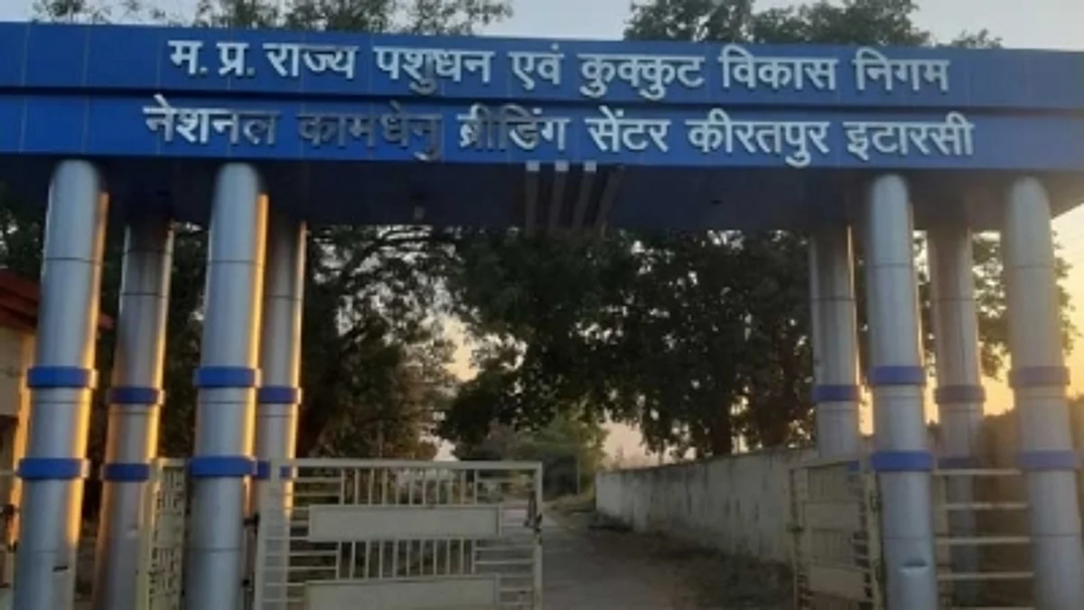 इटारसी में बना कामधेनु ब्रीडिंग सेंटर