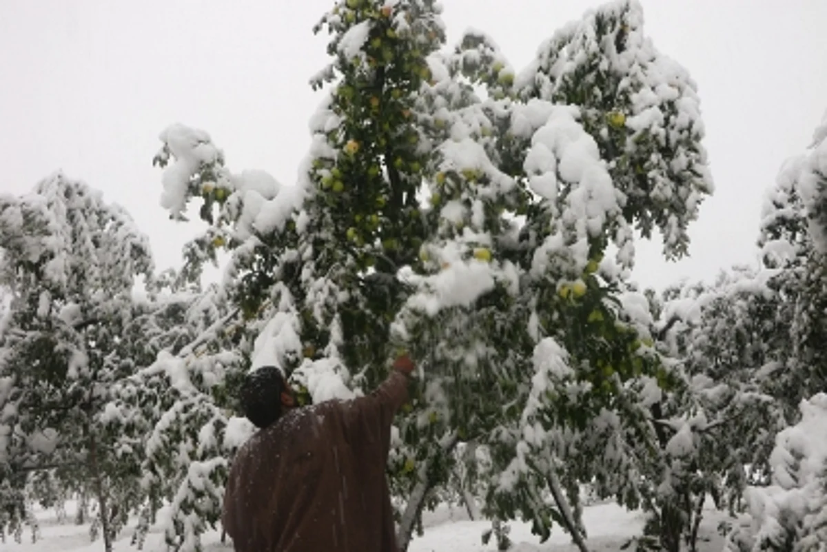जम्मू-कश्मीर में भारी बर्फबारी से पहले घुसपैठ की कोशिशें बढ़ेंगी : इंटेल एजेंसियां