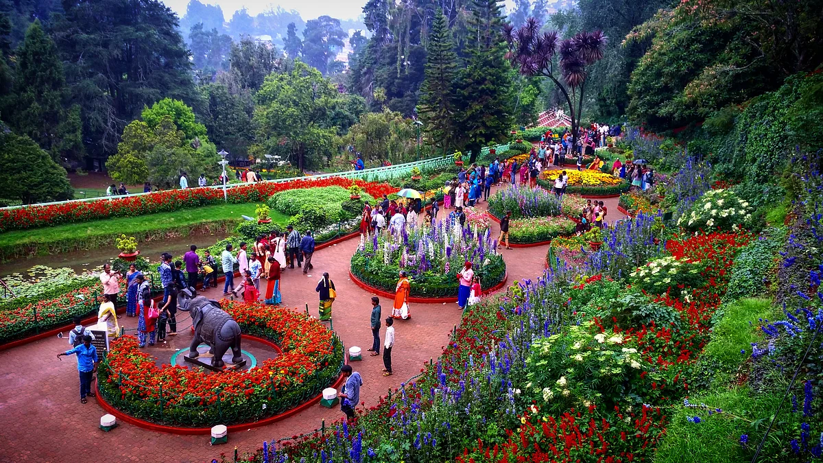 बोटेनिकल गार्डन के बारे में जानकारी - Botanical Garden Ooty in Hindi
