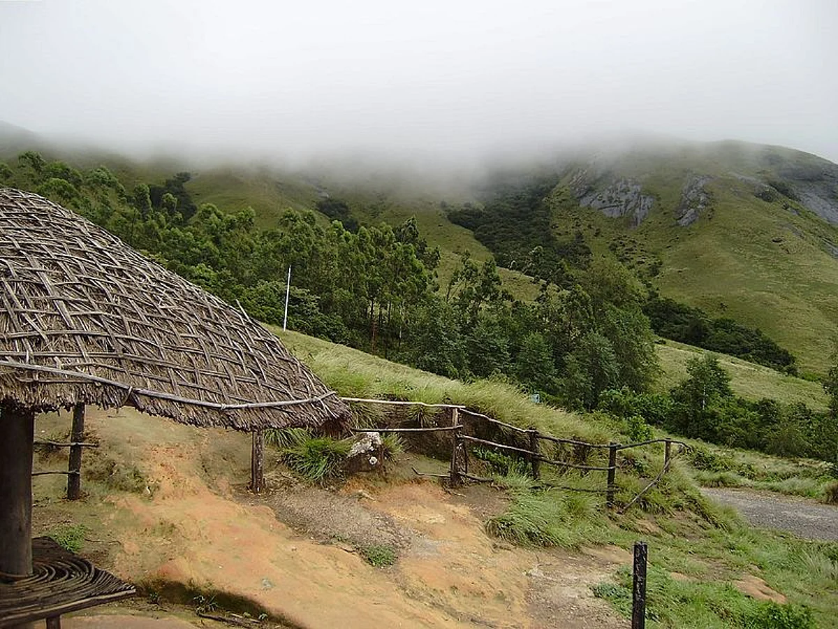 एराविकुलम राष्ट्रीय उद्यान के बारे में जानकारी - Eravikulam National Park in Hindi