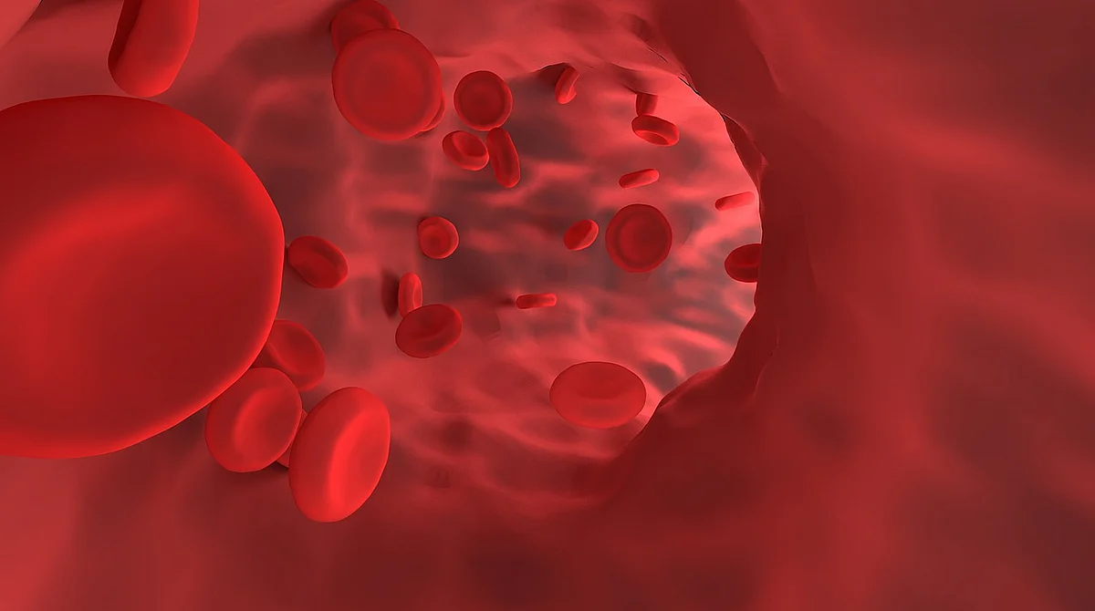 हीमोग्लोबिन के बारे में - About Haemoglobin in Hindi
