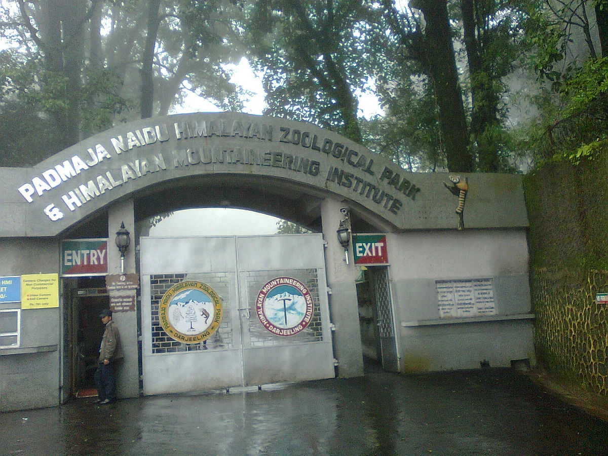 हिमालयन पर्वतारोहण संस्थान के बारे में जानकारी - Himalayan Mountaineering Institute in Hindi