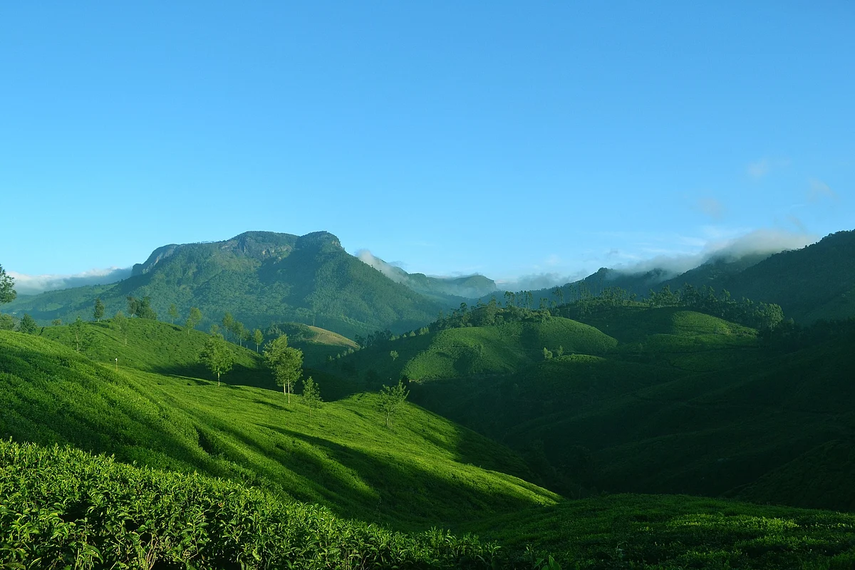मुन्नार के बारे में जानकारी - Munnar in Hindi