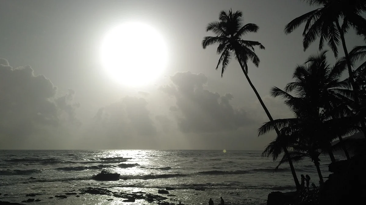 पालोलेम बीच के बारे में जानकारी - Palolem Beach in Hindi