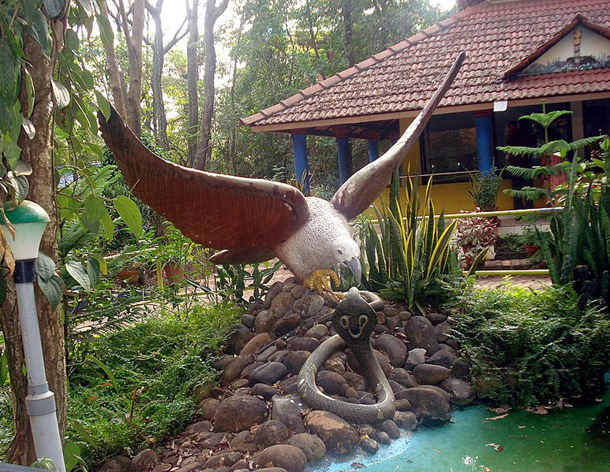 स्नेक पार्क के बारे में जानकारी - Snake Park Chennai in Hindi