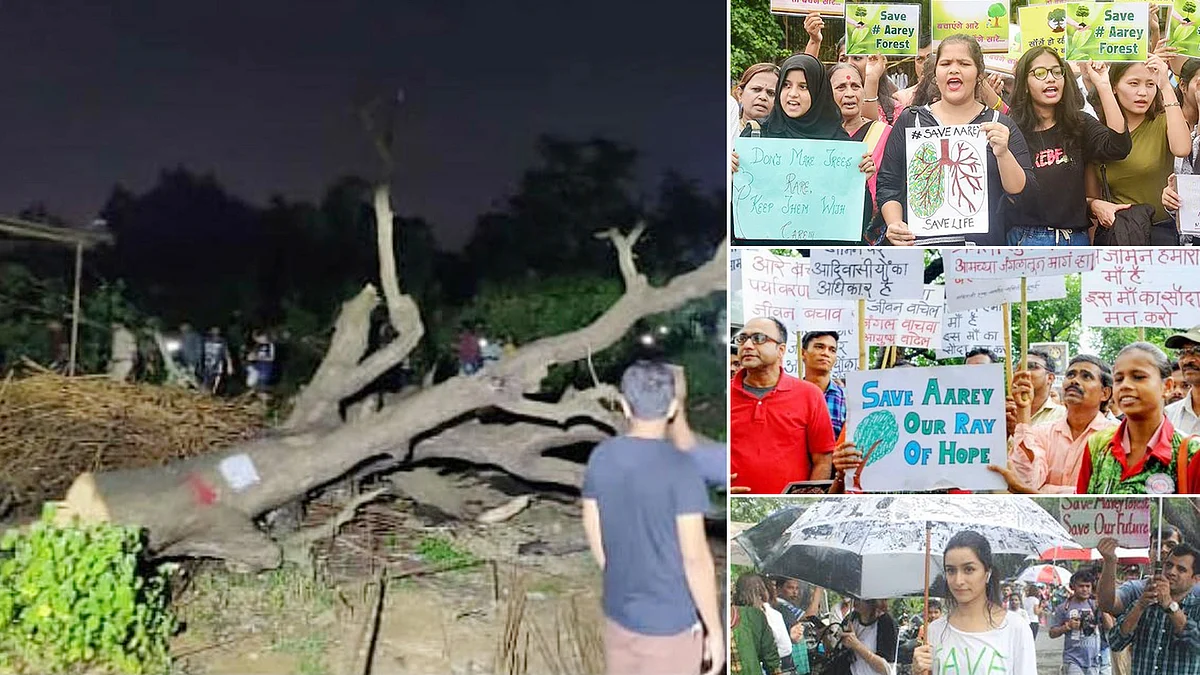 Aarey Forest Tree Cutting