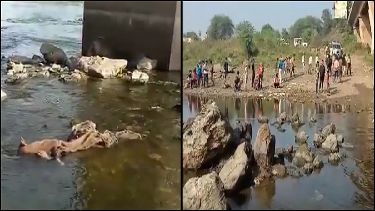 लाश के मिलने से फैली सनसनी