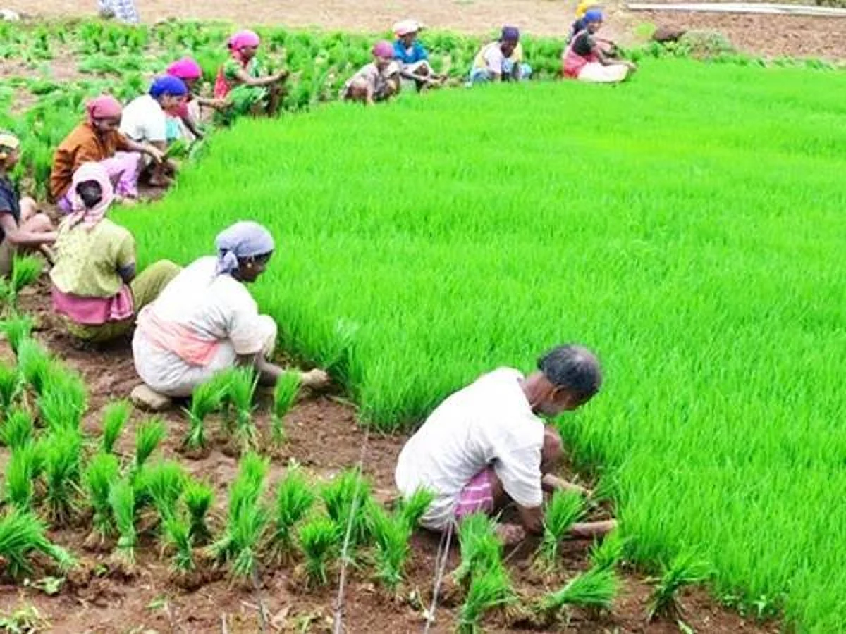 किसानों पर मेहरबान सरकार