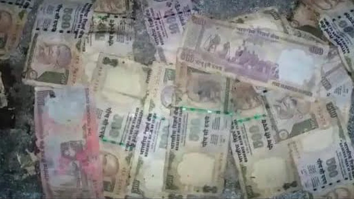 कुएं में मिले 500 और 1000 के पुराने नोट