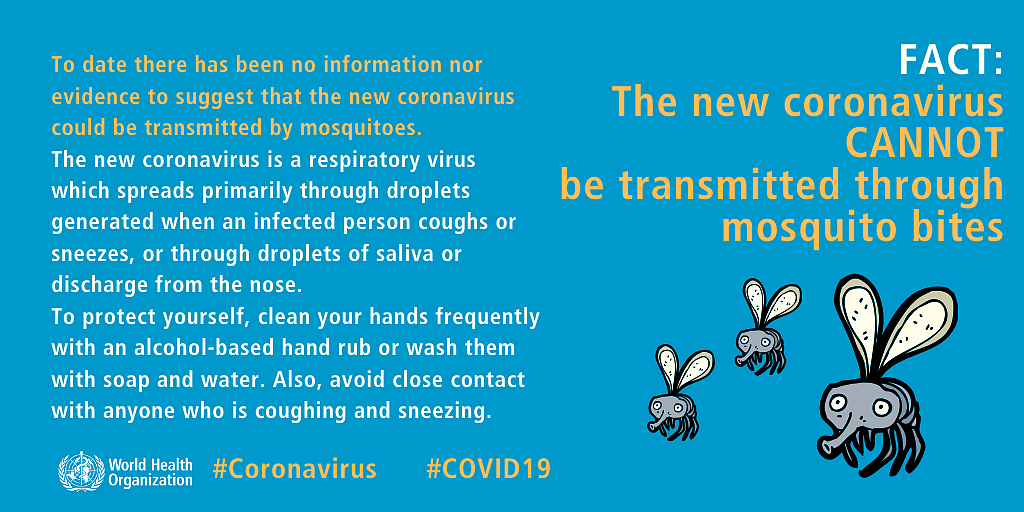 The New corona CANNOTbe Transmitted through mosquito bites