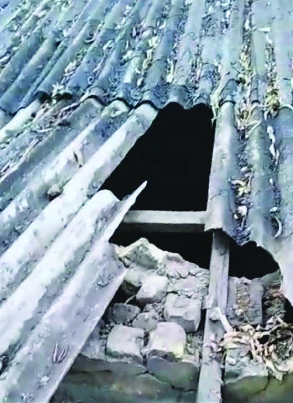 शहडोल : स्टेट बैंक में चोरो का धावा, पर रहे असफल