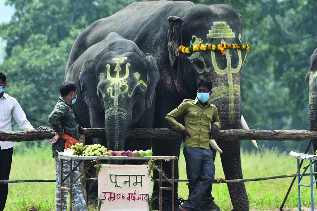 उमरिया : शहीद की पत्नी केशकली ने फीता काटकर महोत्सव का किया शुभारंभ