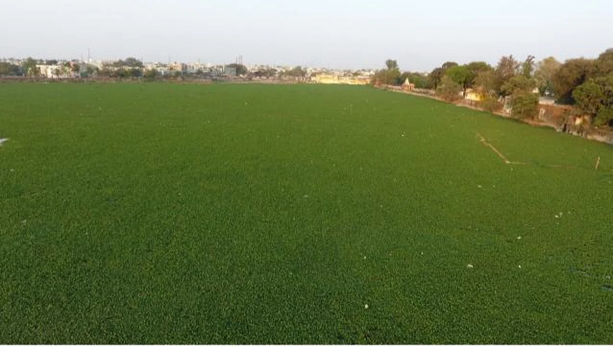 रतलाम : विधायक काश्यप के प्रयासों से बदलेगी अमृत सागर की दशा