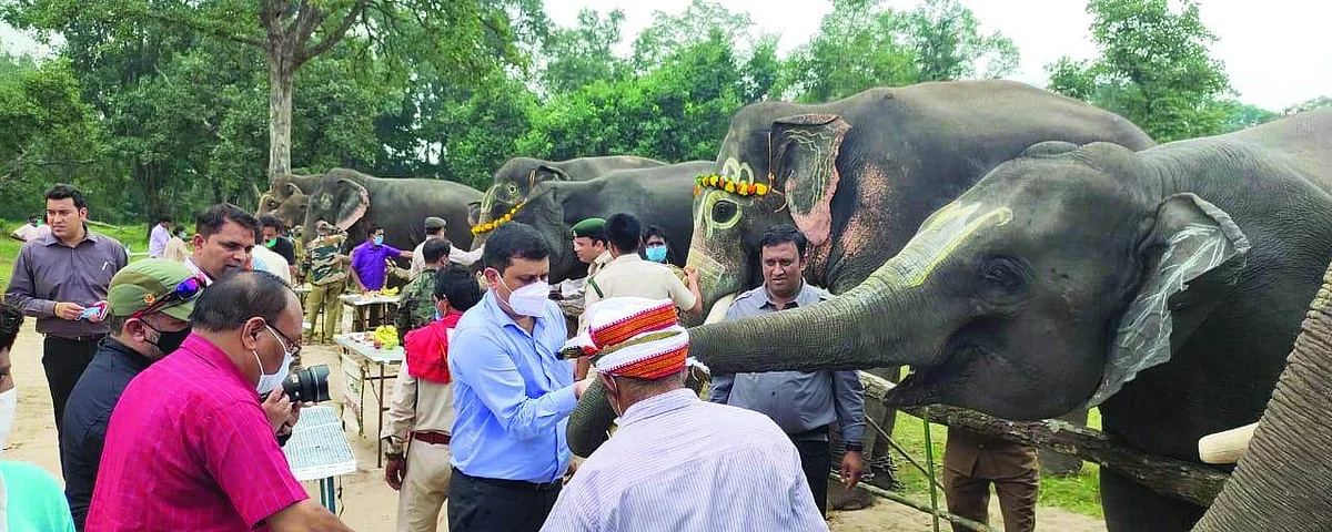 सभी को खिलाया गया भोजन