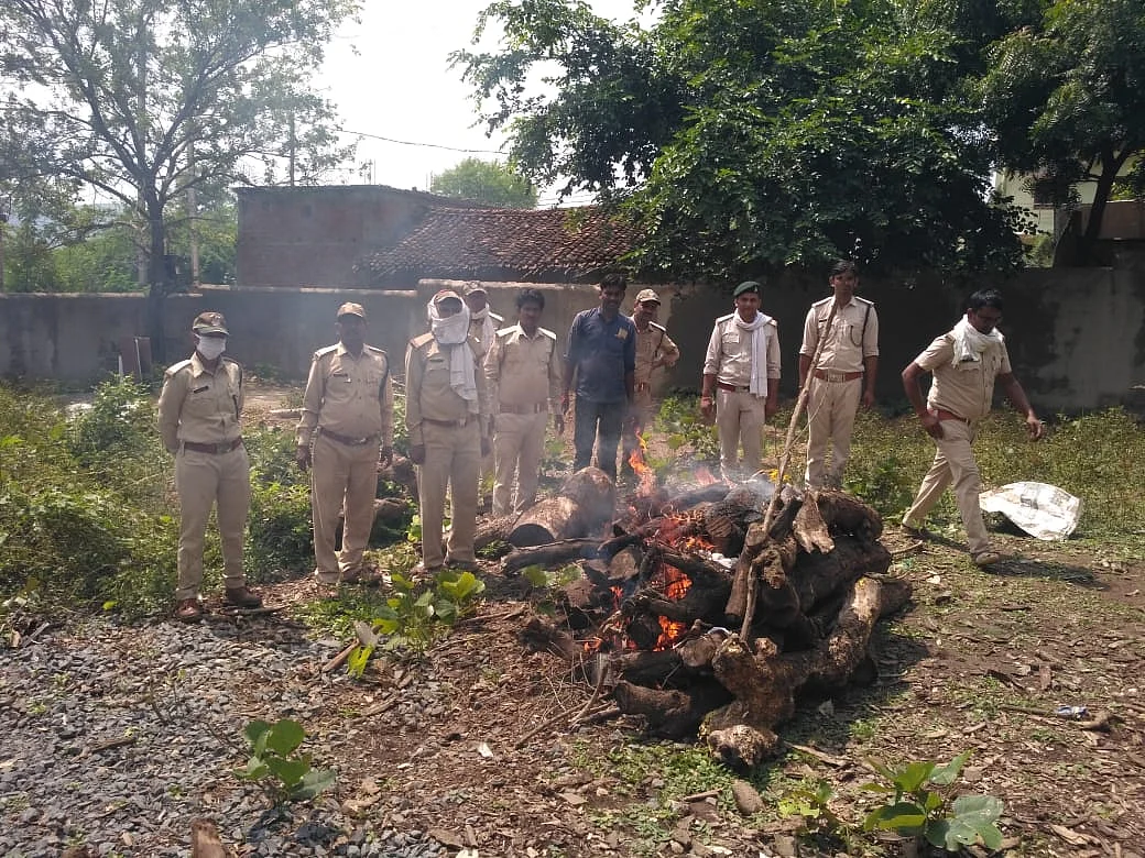 तेंदुए का अंतिम संस्कार अधिकारियों की मौजूदगी में हुआ।