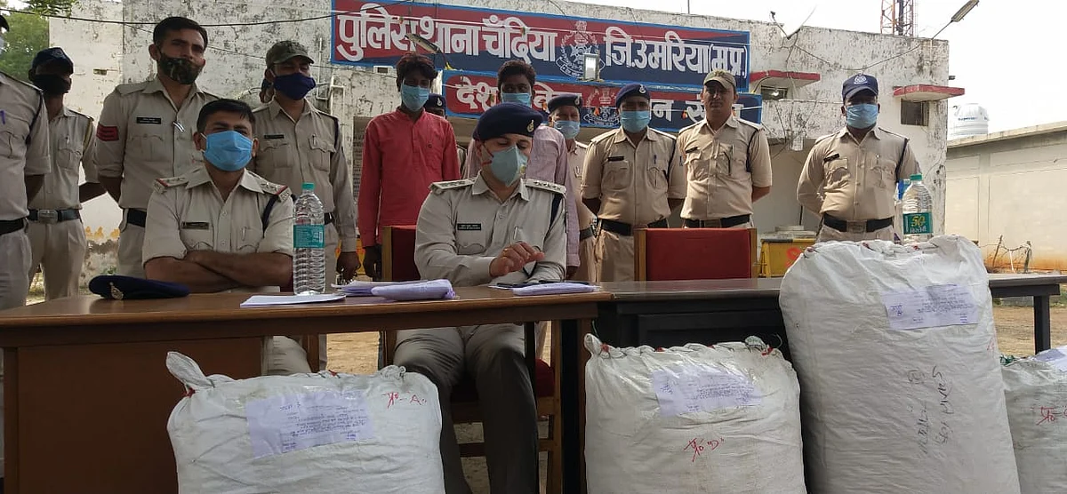 उमरिया : छत्तीसगढ़ से आ रहे गांजे की बड़ी खेप पर पुलिस रेड