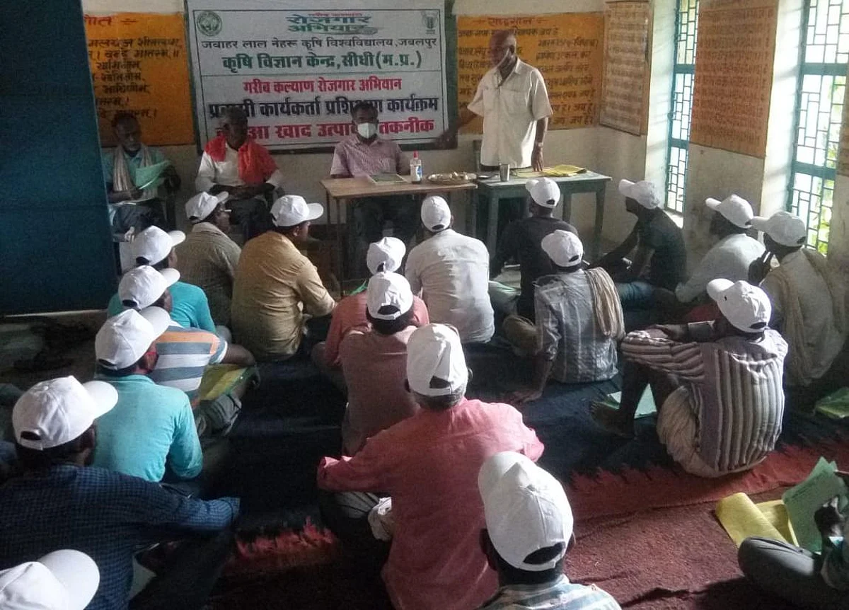 सीधी : गरीब कल्याण रोजगार अभियान अंतर्गत प्रशिक्षण कार्यक्रम सम्पन्न
