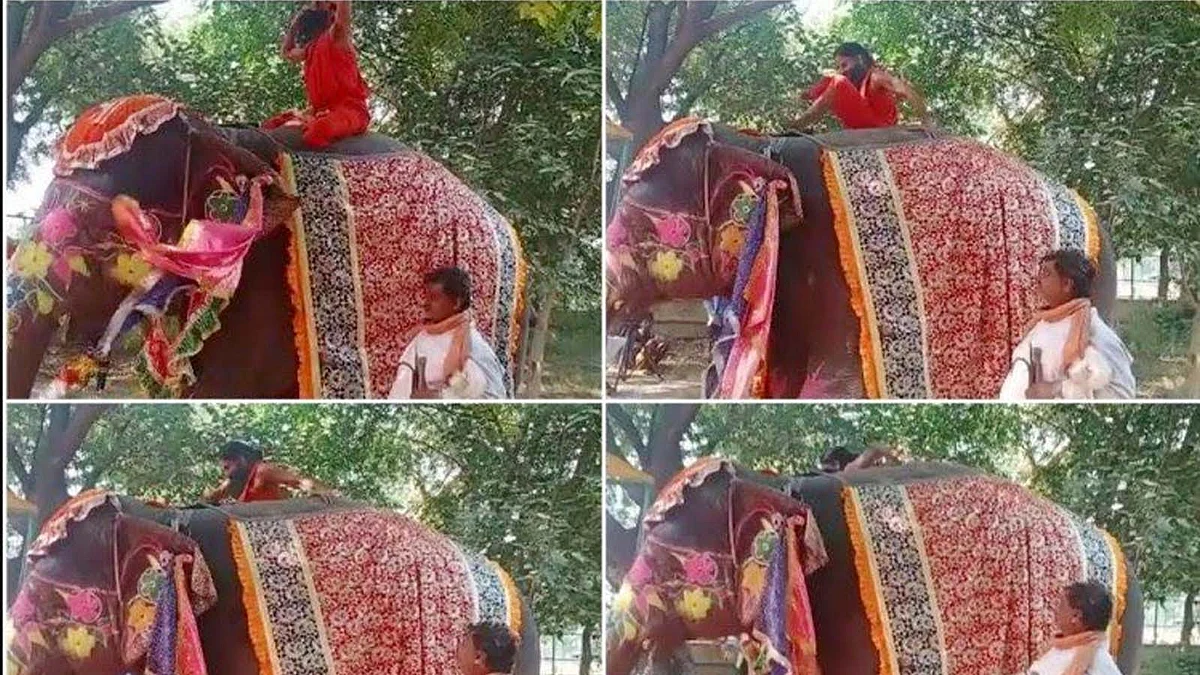 हाथी पर योग कर रहे बाबा रामदेव का बिगड़ा बैलेंस-गिरे धड़ाम, वीडियो वायरल