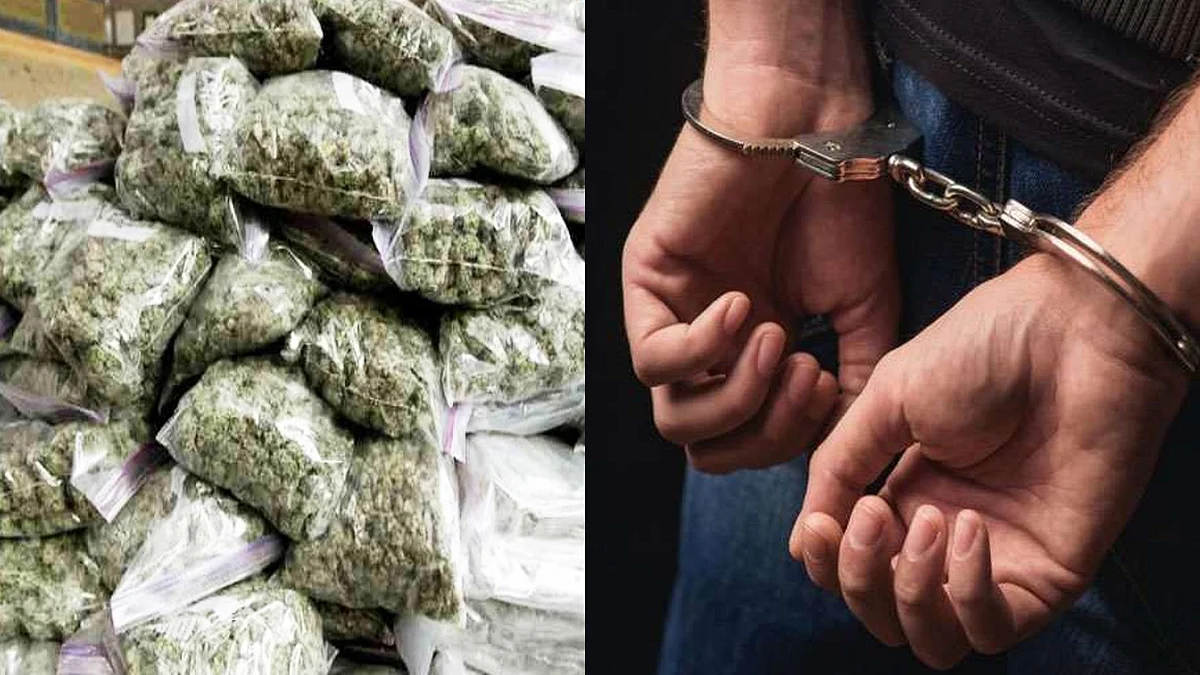 शहडोल : पुलिस ने 3 तस्करों को गिरफ्तार कर जप्त किया वाहन से 40 किलो गांजा