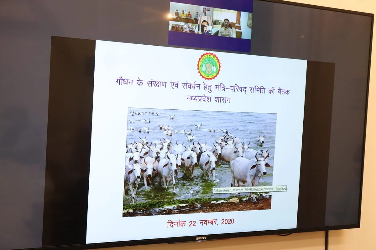 शुरू पहली गौ कैबिनेट बैठक, CM ने कहा- बड़ी संख्या में बनाई जाएंगी गौशालाएं