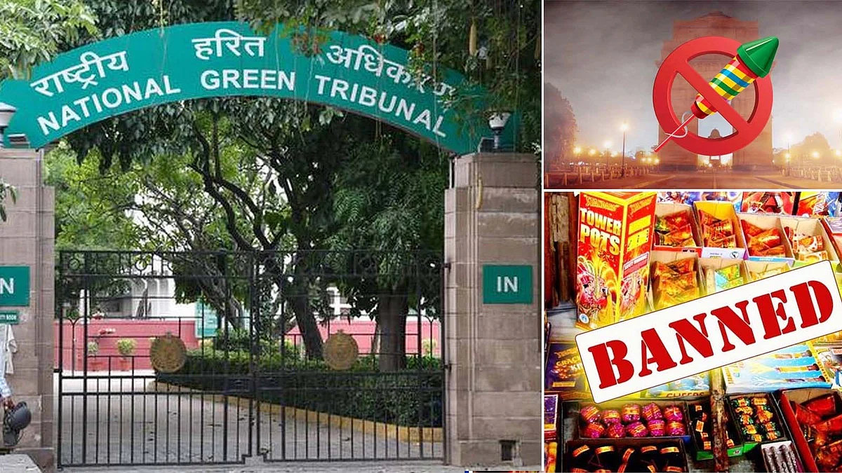 NGT का बड़ा फैसला- 30 नवंबर तक पटाखों की बिक्री व जलाने पर पूरी तरह रोक