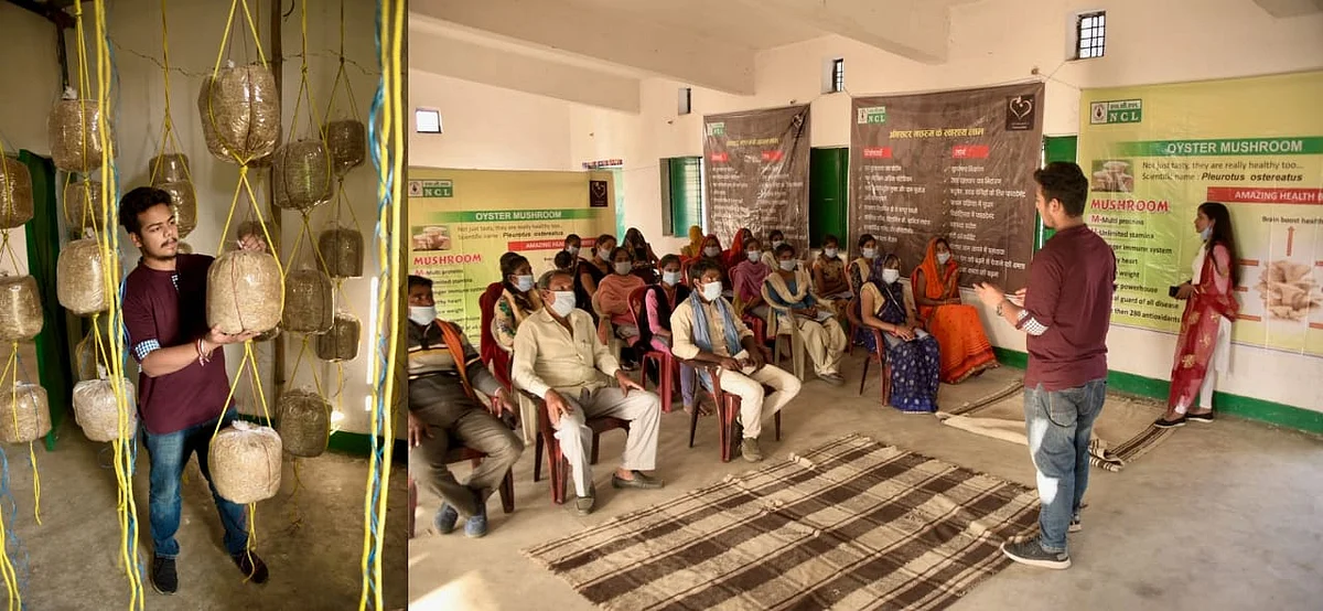सिंगरौली : एनसीएल स्थानीय किसानों को सिखाएगी मशरूम की खेती के गुर