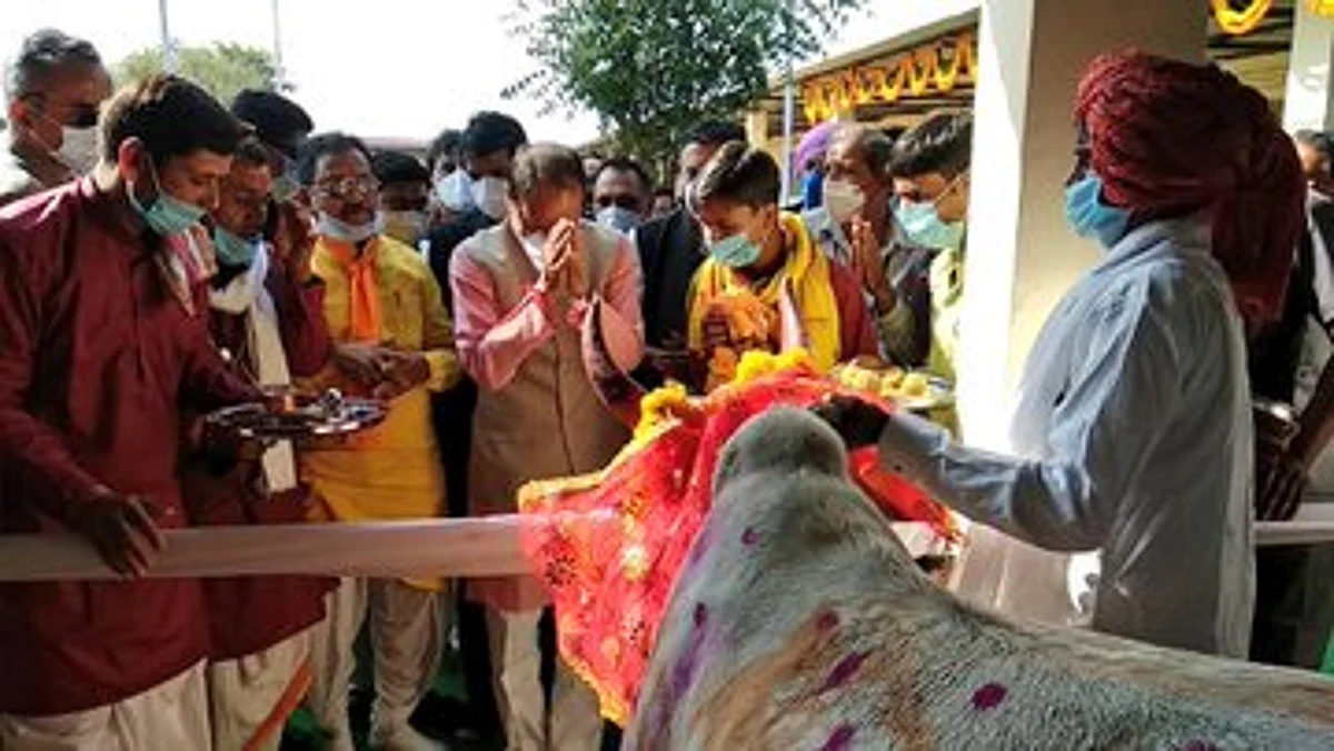 शिवराज आगर के सालरिया स्थित गौ-अभयारण्य पहुंचे, प्रदर्शनी का किया अवलोकन