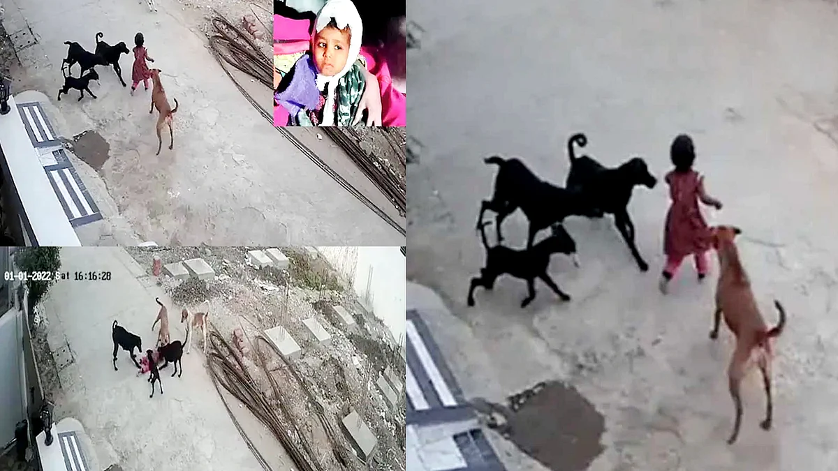 भोपाल में बच्ची को कुत्तों द्वारा नोचे जाने पर HC गंभीर, अफसरों को जारी किया नोटिस