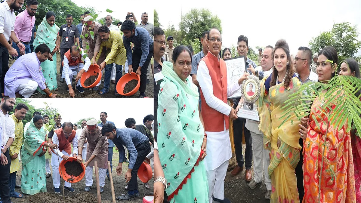 आज मुख्यमंत्री ने 3 पौधे रोपे