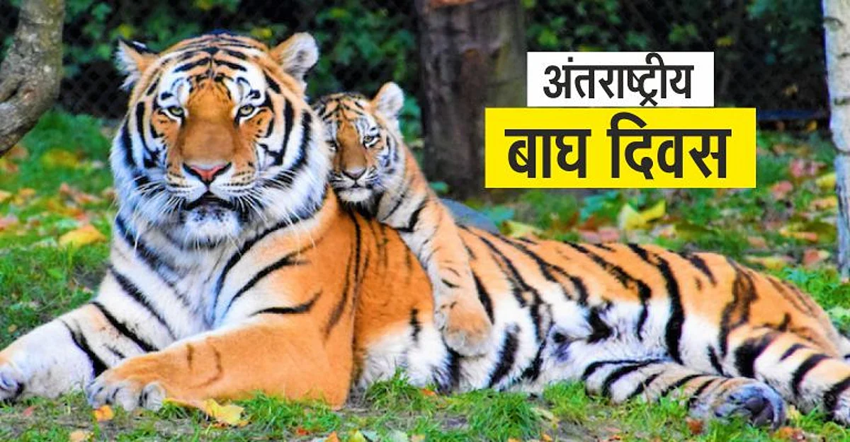 अंतरराष्ट्रीय बाघ दिवस
