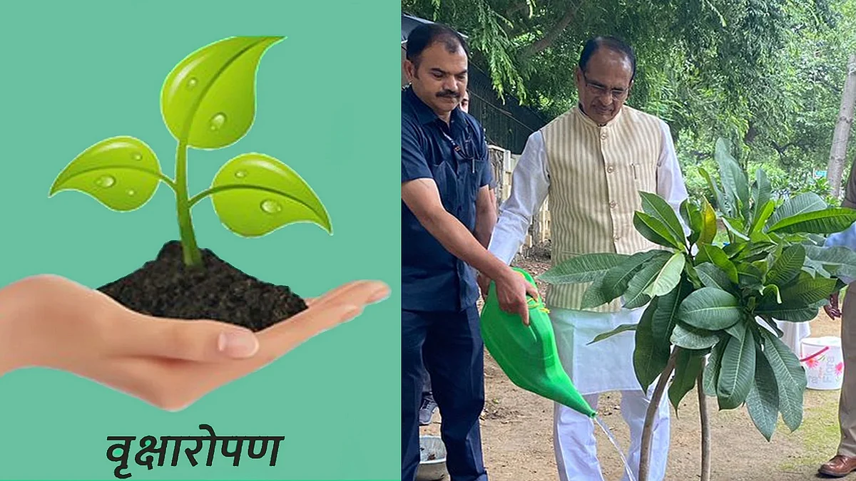 सीएम ने लगाया "चंपा का पौधा"
