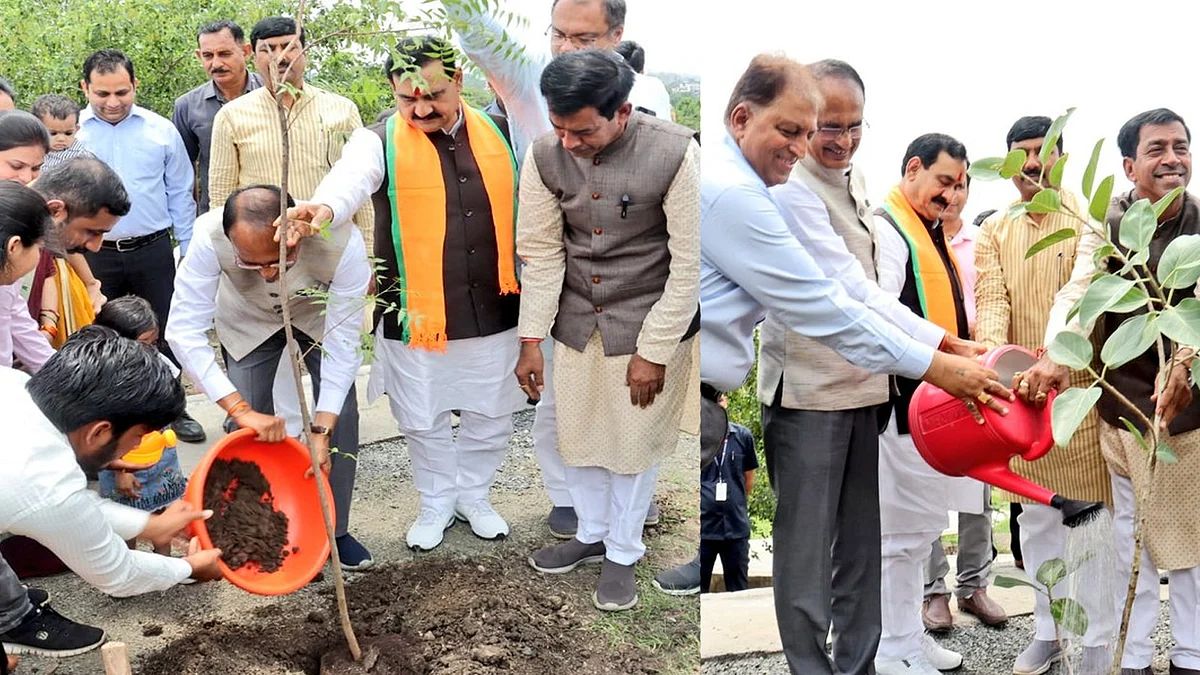 CM ने लगाए बरगद, नीम और गूलर के पौधे