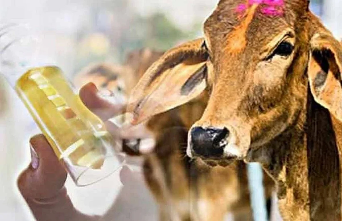 गोमूत्र की बिक्री से मिली राशि को मुख्यमंत्री सहायता कोष मे जमा की