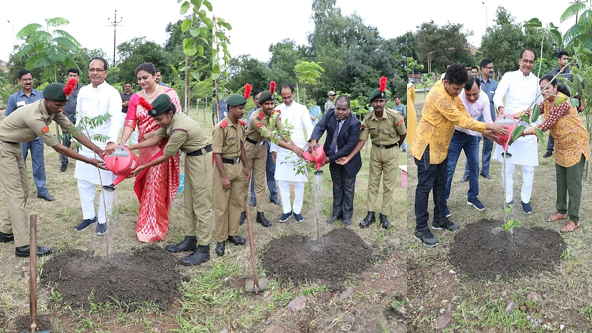 CM ने लगाए 3 पौधे