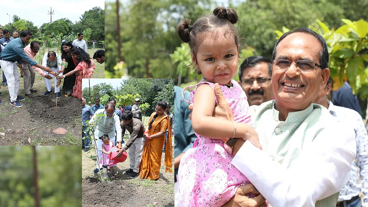 CM ने किया पौधरोपण