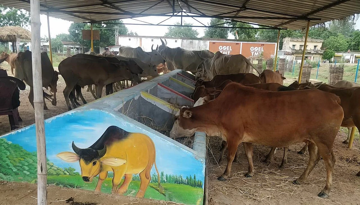 स्वतंत्रता दिवस समारोह में उत्कृष्ट गौठान होंगे पुरस्कृत