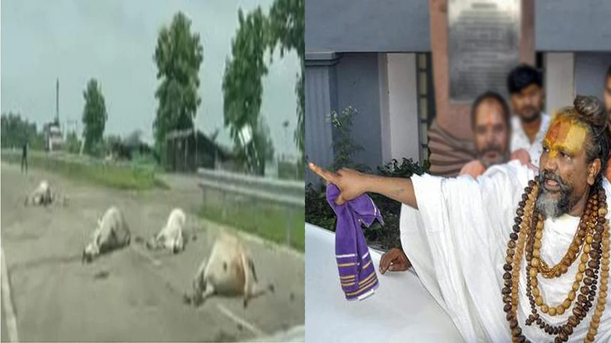 भोपाल: कई गायों की मौत