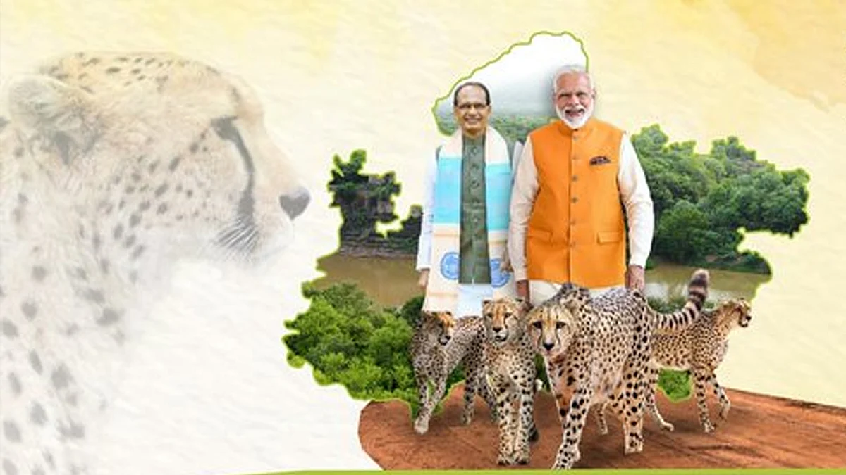 चीता स्टेट का गौरव