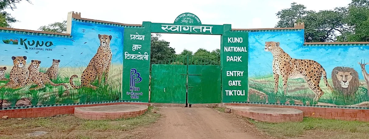 Kuno National Park