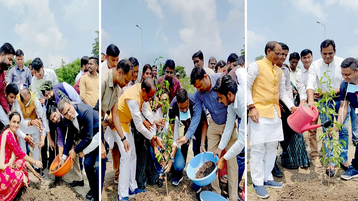 आज स्मार्ट पार्क में CM ने 3 पौधे लगाए