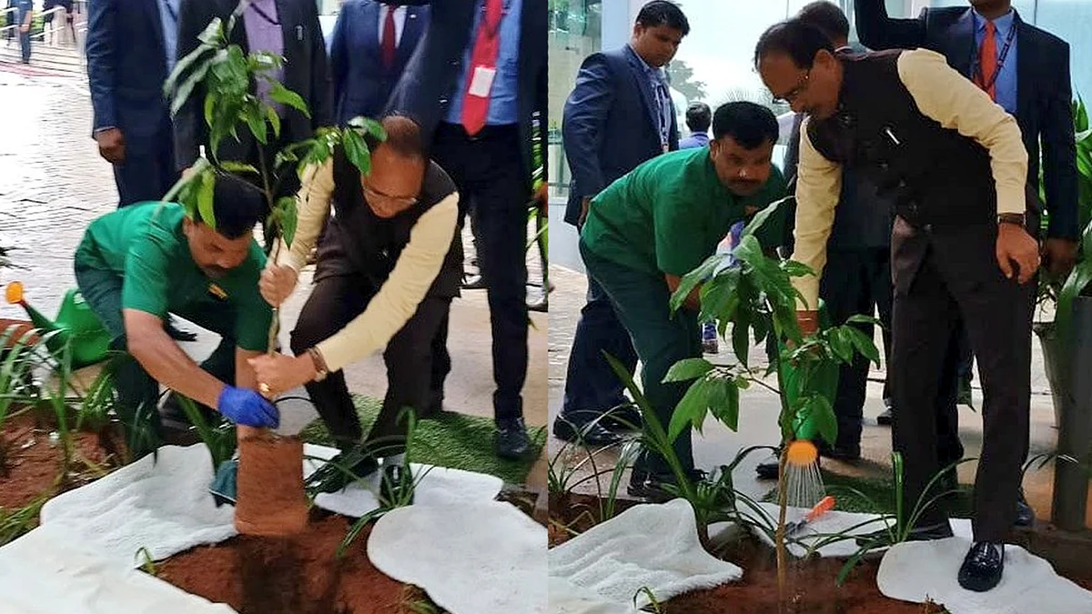 सीएम शिवराज ने लगाया "आम का पौधा"