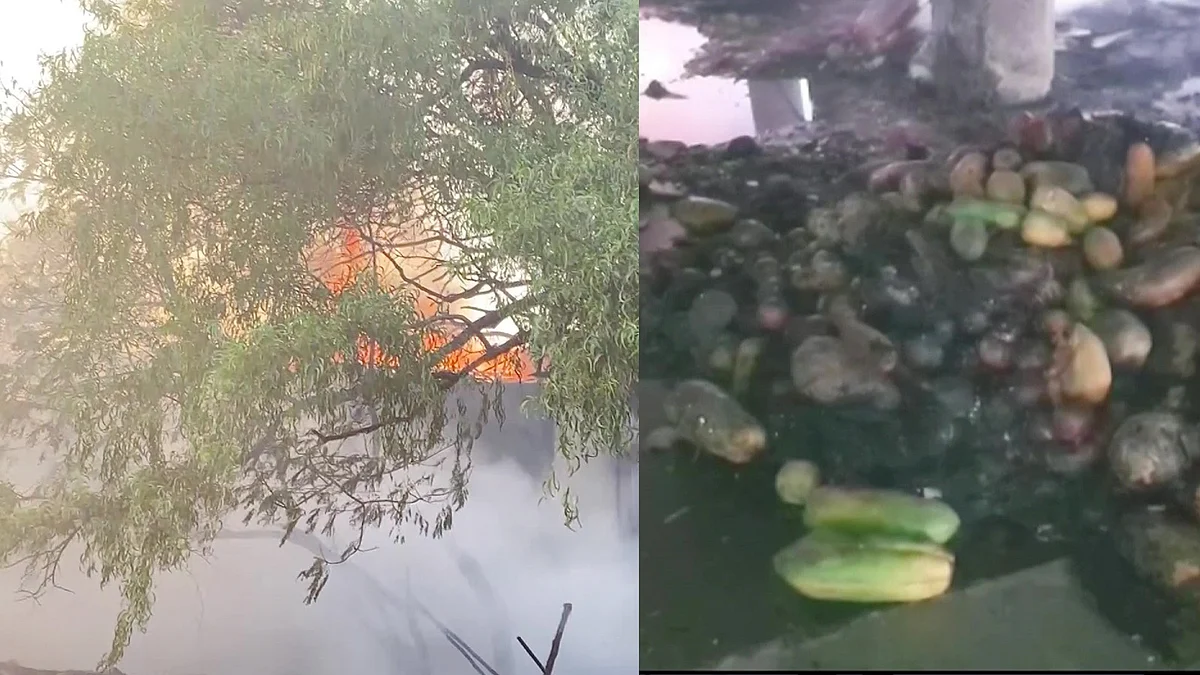 नवी मुंबई के वाशी में APMC फल बाजार में आग ने मचाया तहलका