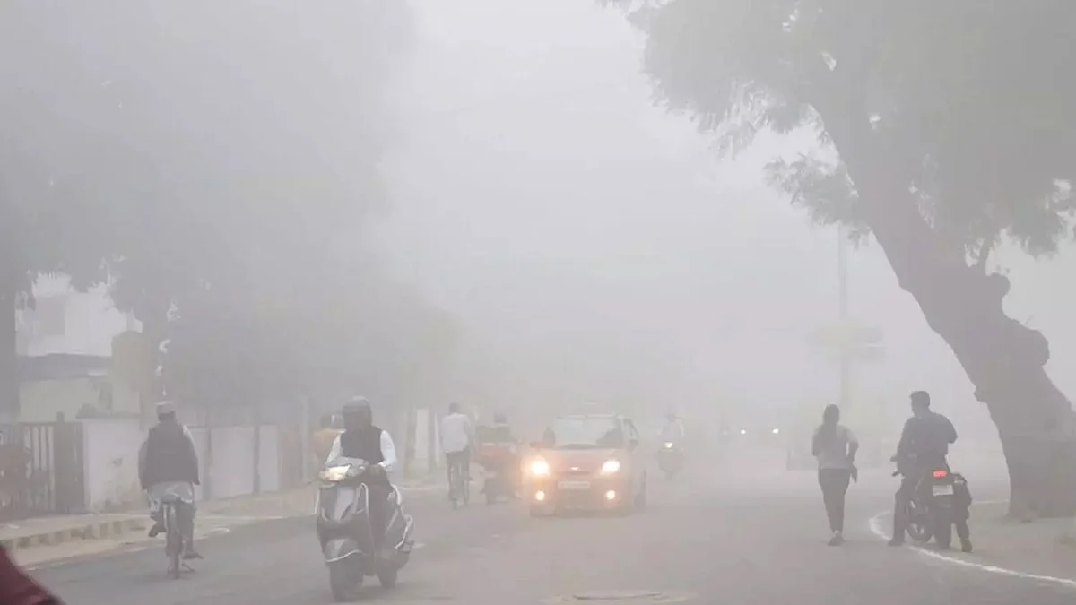 Gwalior : रात का पारा चढ़ा, पर कम नहीं हुई सर्दी