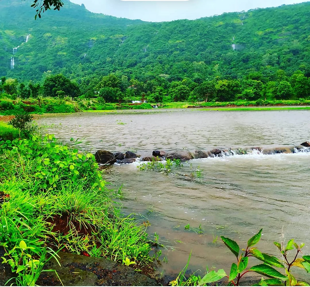 भंडारदरा निम्मे भरले तर कोथळे ओव्हर फ्लो