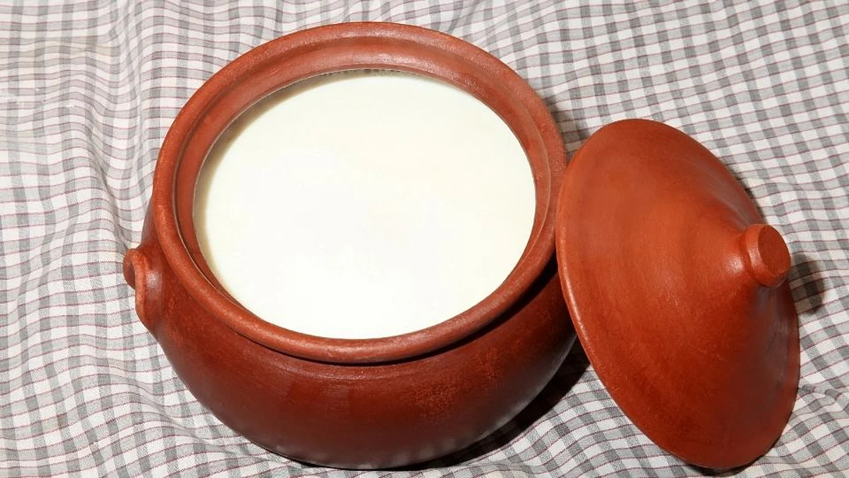 मातीच्या भांड्यात दही बनवण्याचे आहेत आश्चर्यकारक फायदे; वाचा सविस्तर