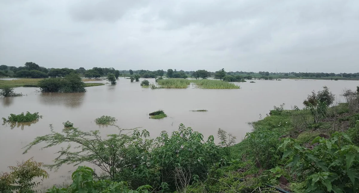 शेवगाव तालुक्यात दमदार पाऊस, सालवडगाव तलाव तुडुंब